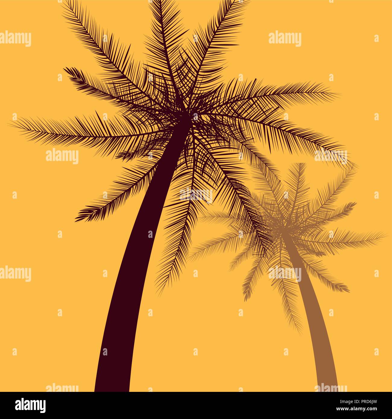 tropical palms tree yellow background vector illustration Stock Vector ...