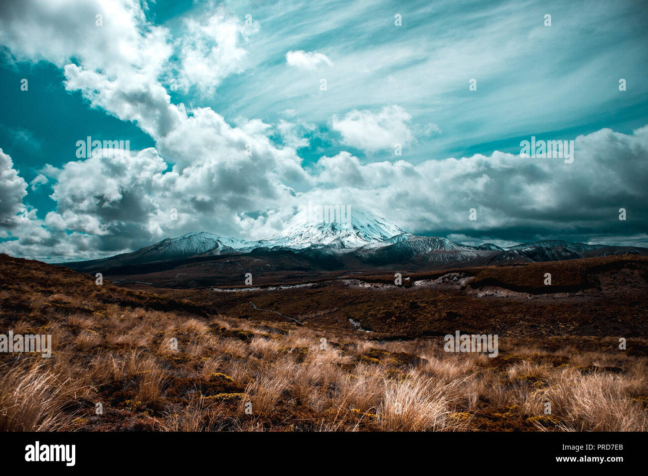 The long way to Mordor, New Zealand Stock Photo