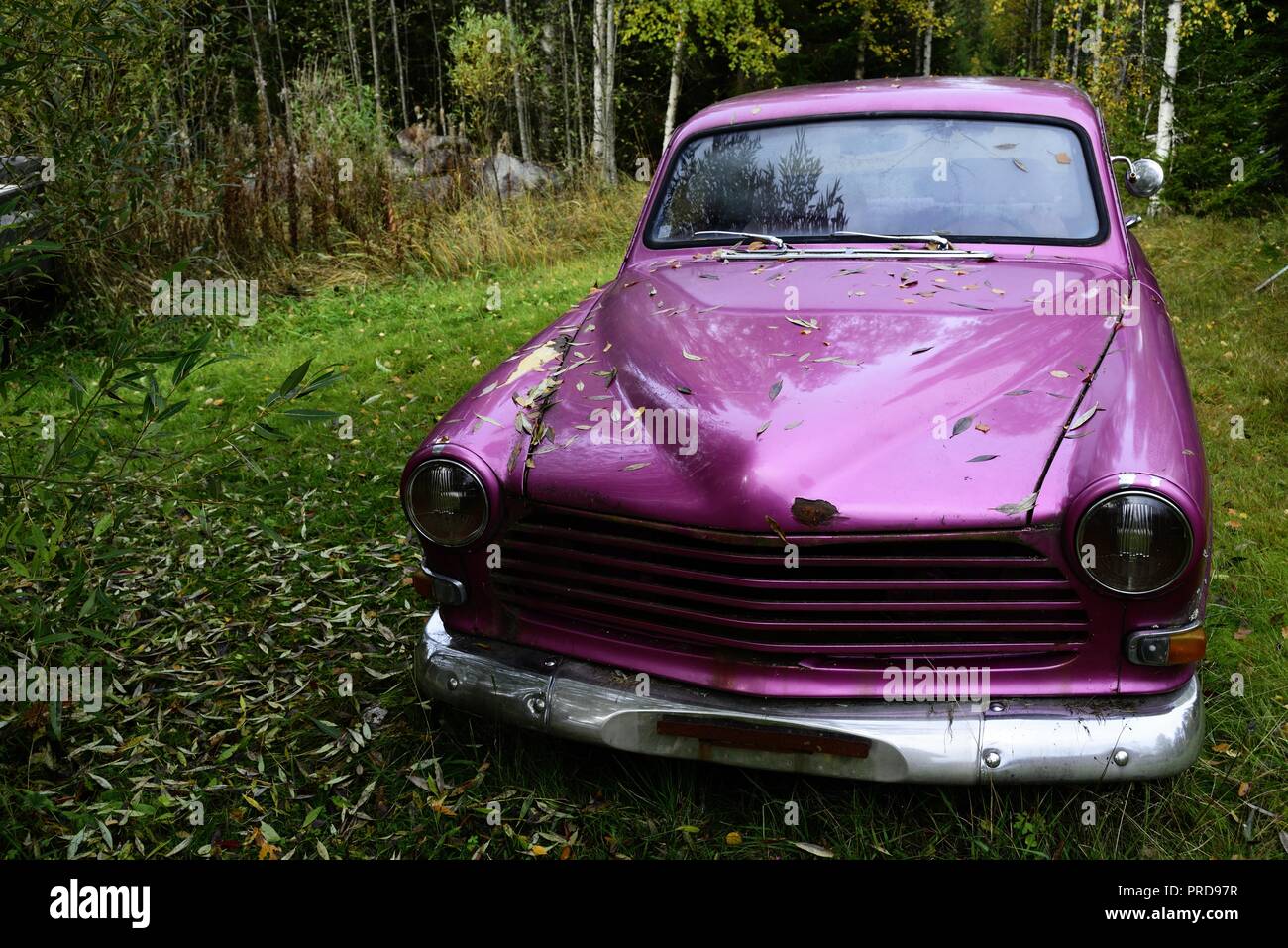 Old car in the woods hi-res stock photography and images - Alamy