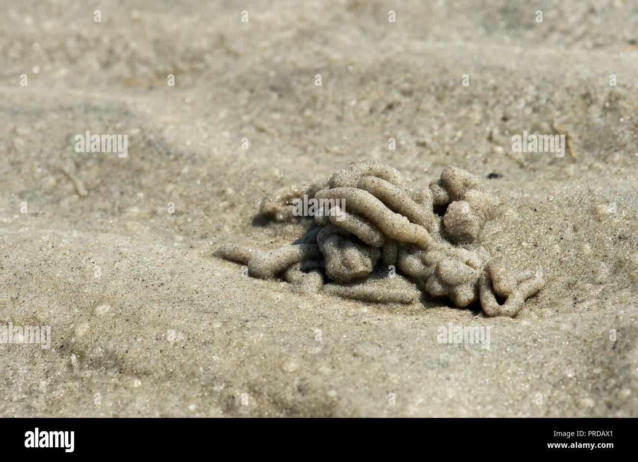 Kothaufen Hi res Stock Photography And Images Alamy kothaufen-hi-res-stock-photography-and-images-alamy