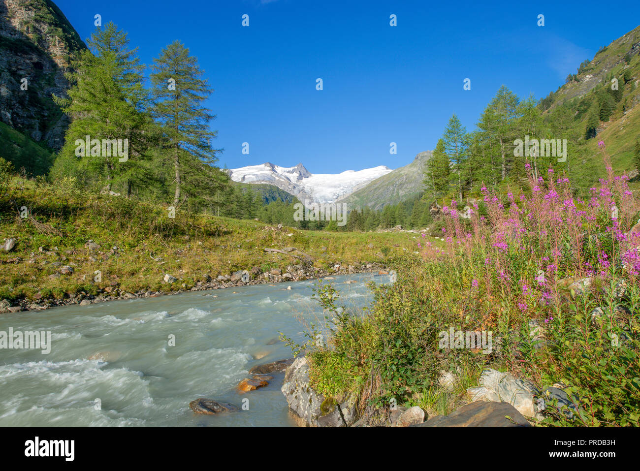 Gschlößbach in Tauern Valley, behind Schwarze Wand, Hoher Zaun and Großvenediger, Venediger Group, Hohe Tauern National Park Stock Photo