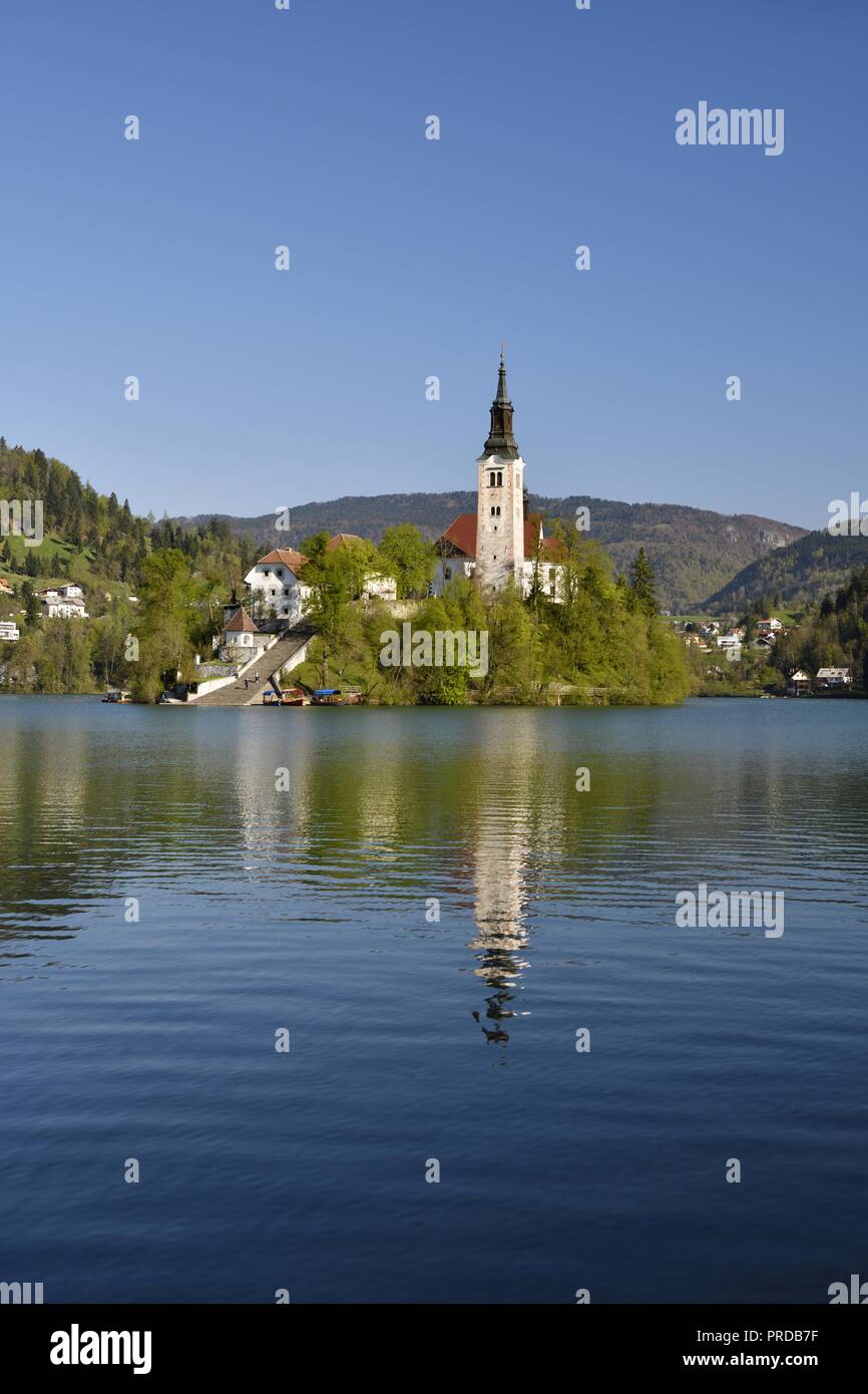 Island Blejski Otok with St. Mary's Church, Lake Bled, Bled, Slovenia Stock Photo