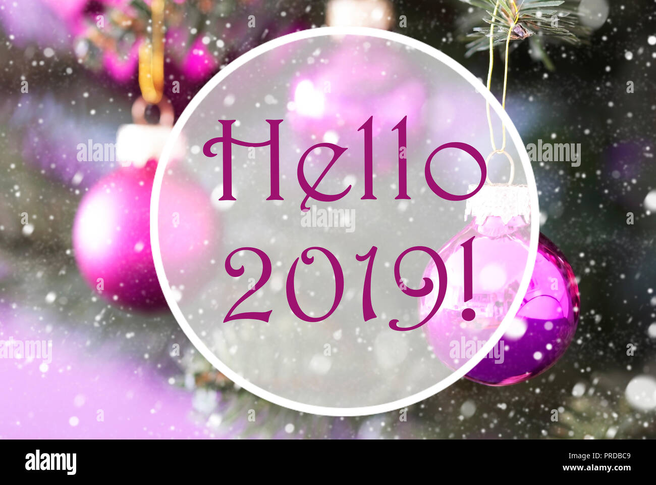 Rose Quartz Christmas Balls, English Text Hello 2019 Stock Photo
