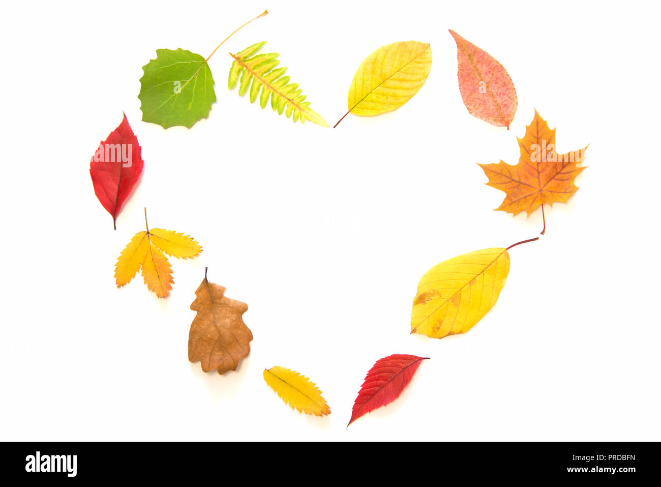 different red, green and yellow autumn leaves making heart shape on white isolated background Stock Photo