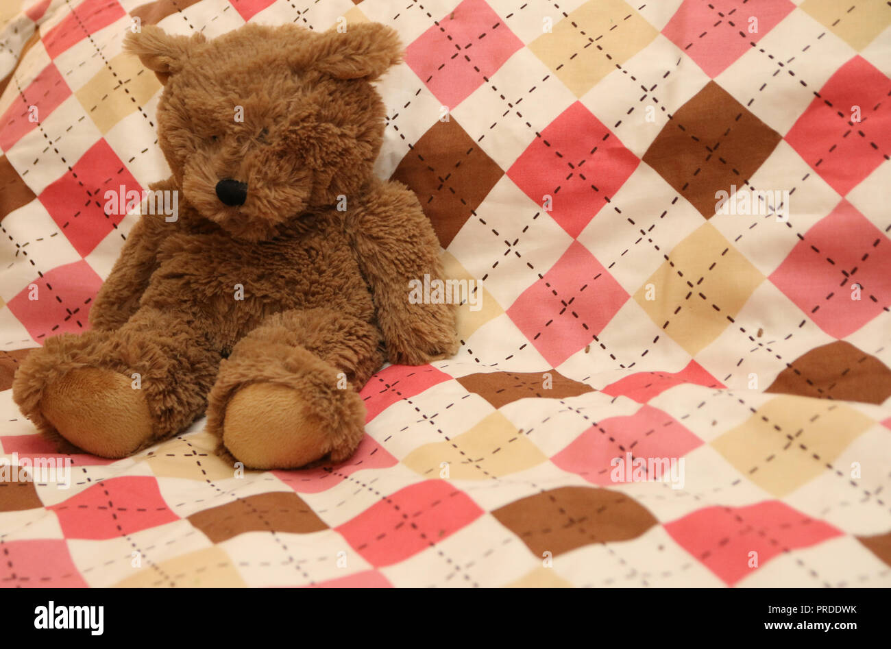 A fuzzy little teddy bear sitting on an argyle blanket. Stock Photo