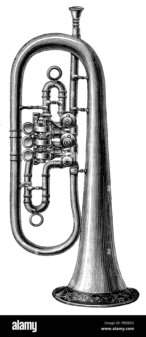 flugelhorn, anonym 1890 Stock Photo - Alamy