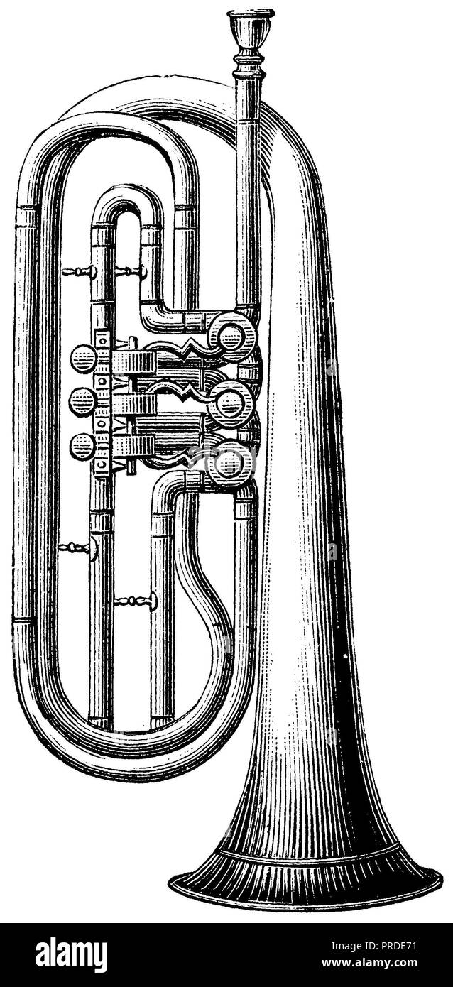 Old wind instrument Black and White Stock Photos & Images - Alamy
