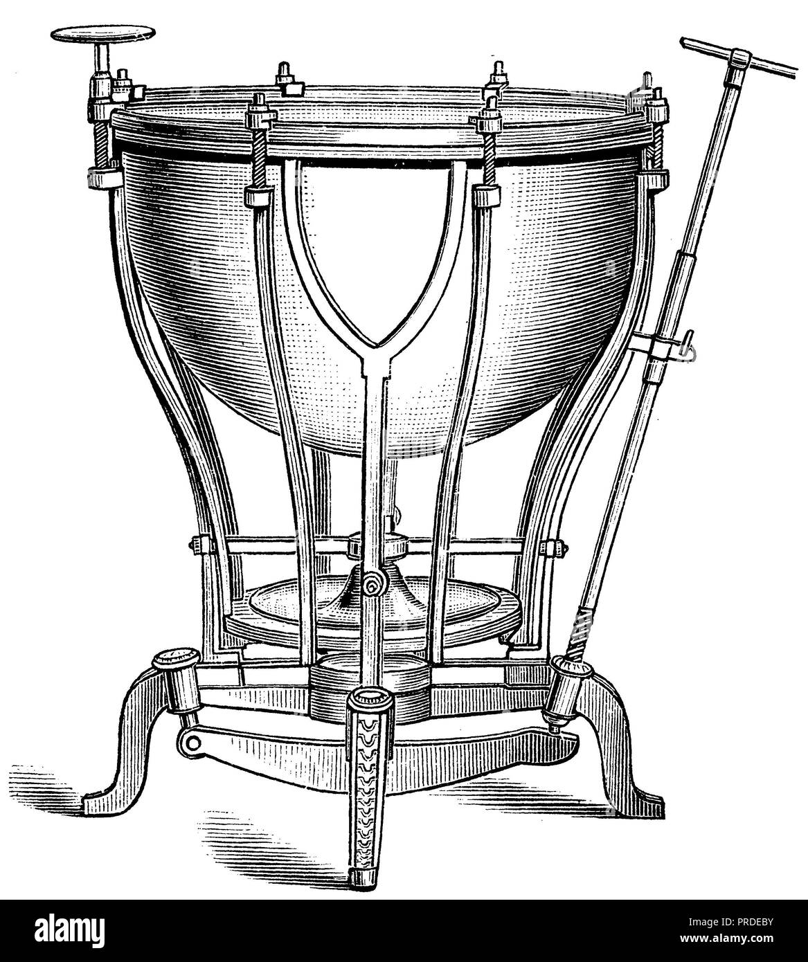 Timpanis Pronunciation at Janice Fitzgerald blog