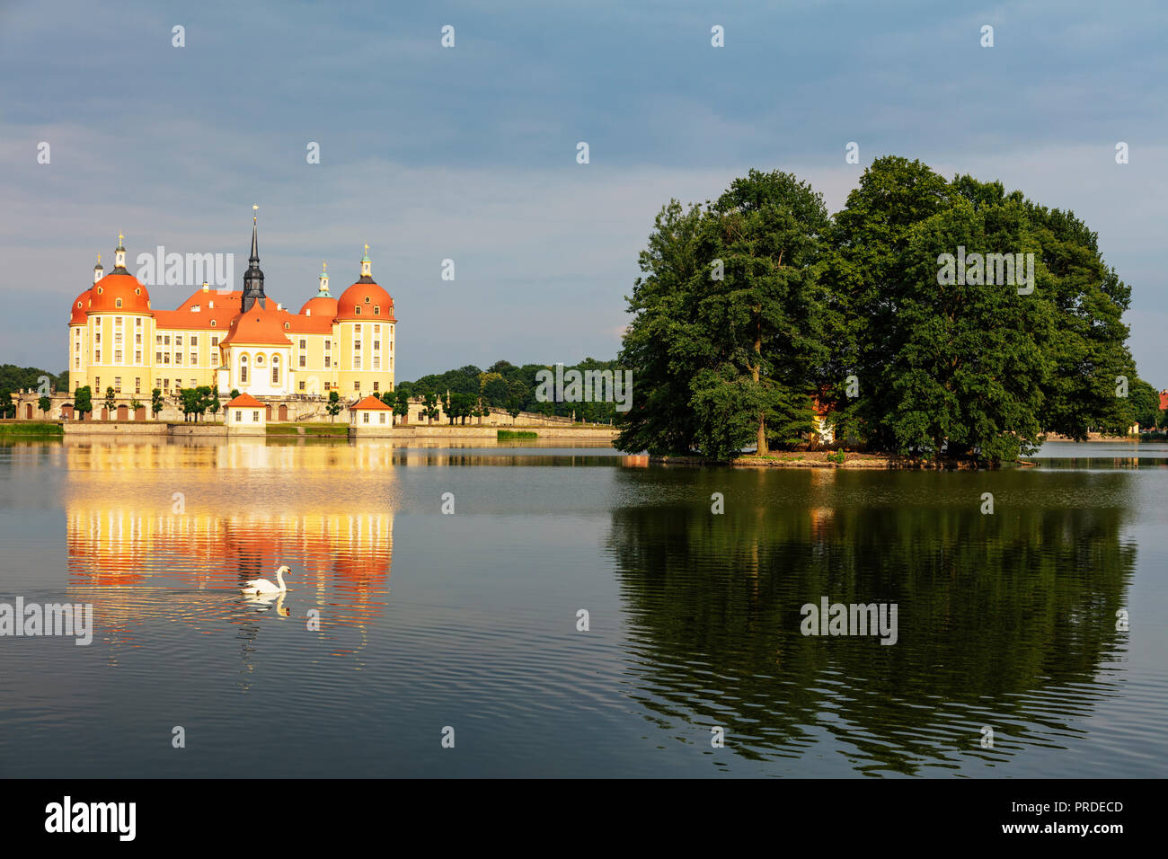 Europe, Germany, Saxony, Moritzburg castle Stock Photo