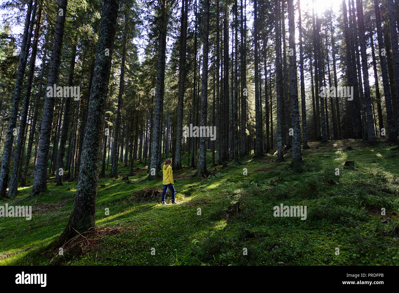Tall woman hi-res stock photography and images - Alamy
