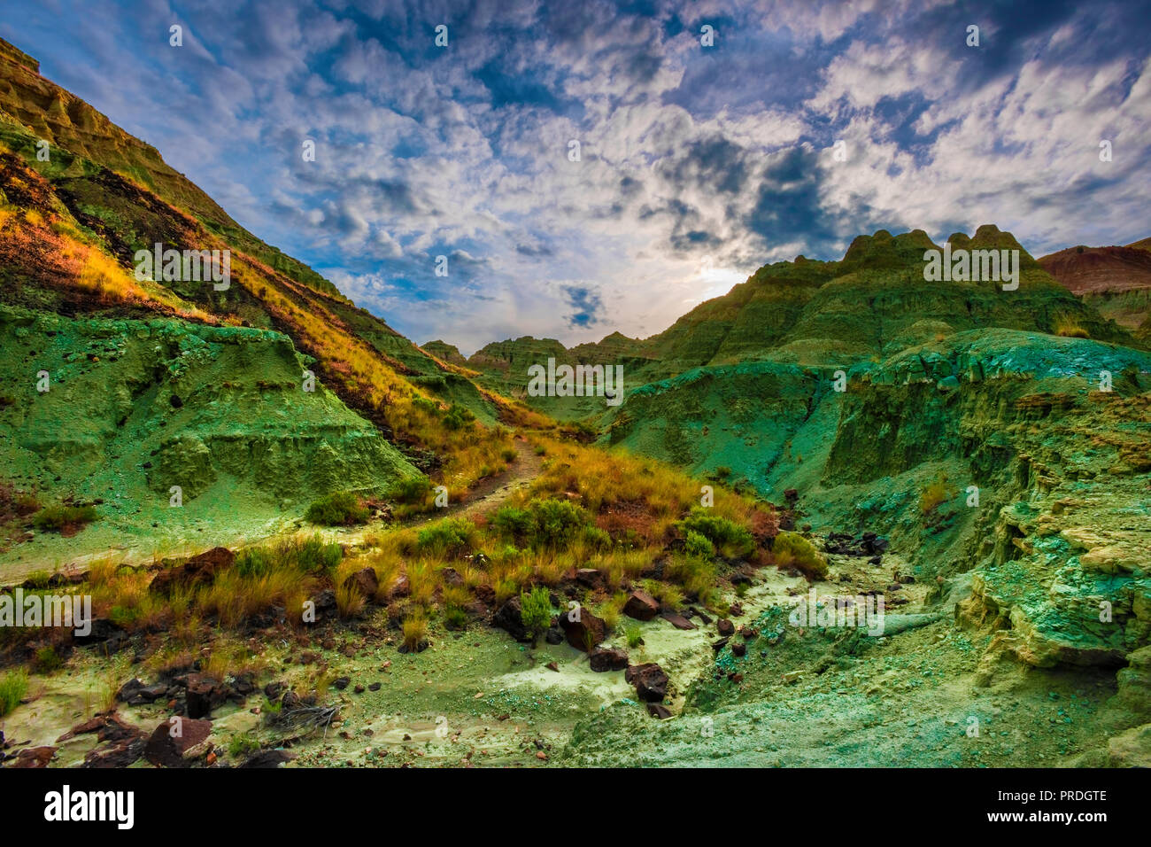 Early morning light in the Blue Basin in the Sheep Rock Unit of the