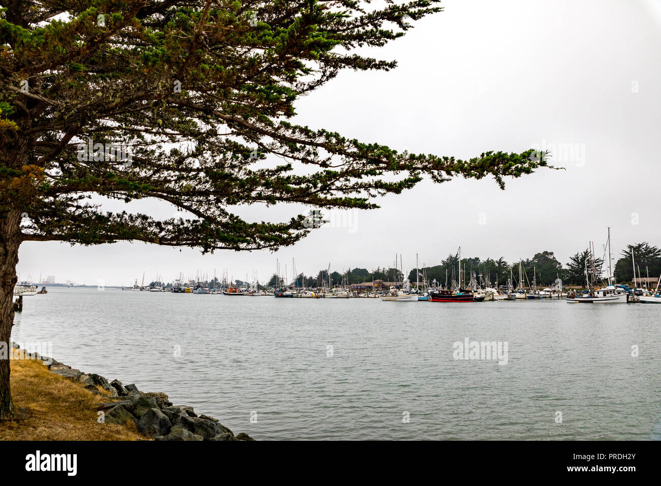 The Harbor in Eureka on the California north coast Stock Photo Alamy