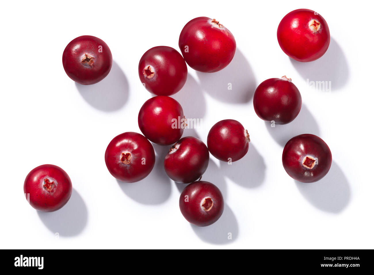 Cranberries (Vaccinium oxycoccus), top view. Direct hard light Stock Photo