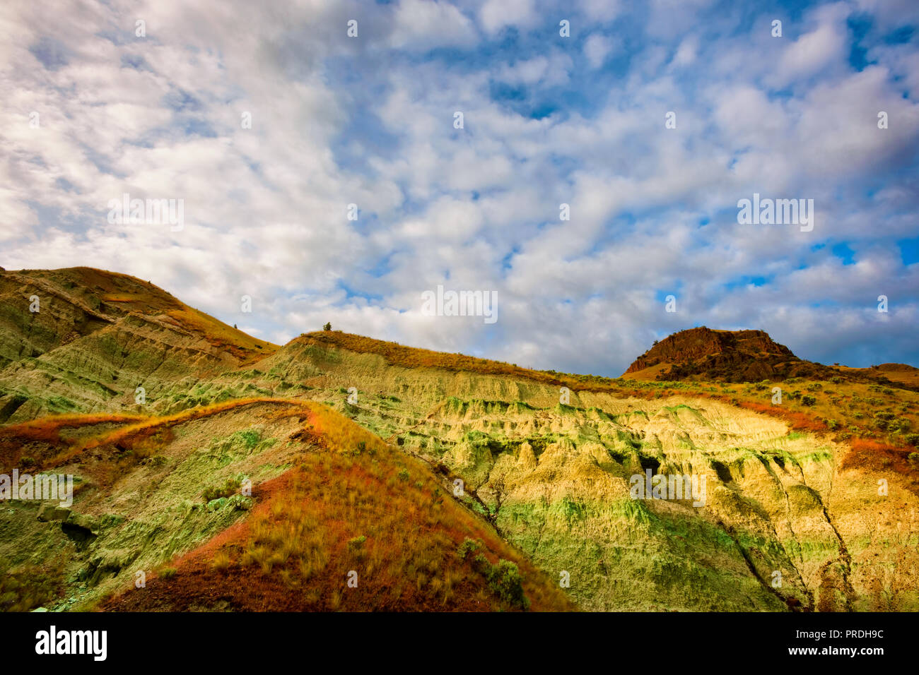 Early morning light in the Blue Basin in the Sheep Rock Unit of the John Day Fossil Beds National Monument near Kimberly, Oregon Stock Photo