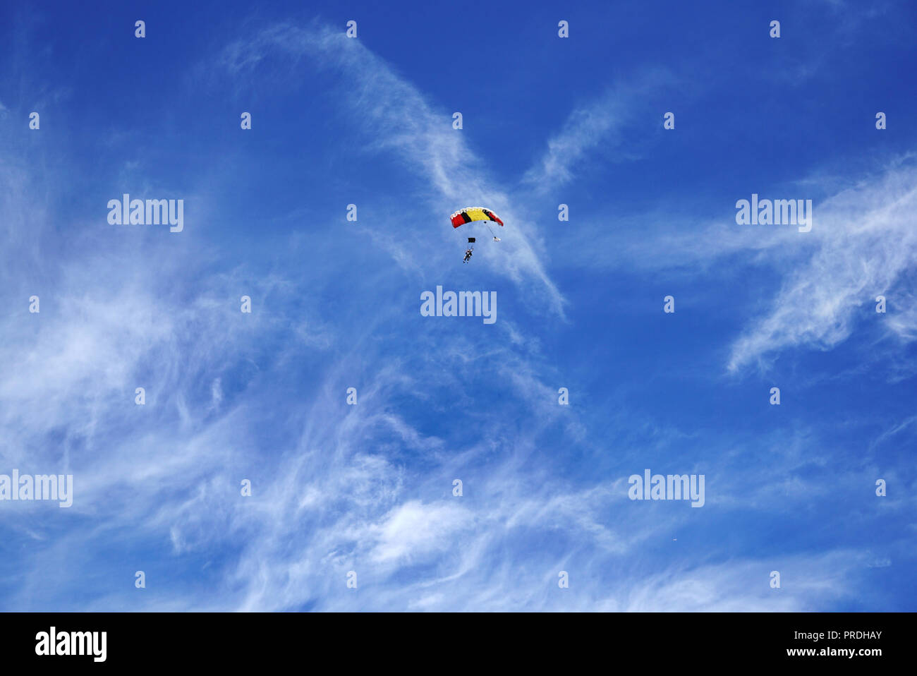 Bright multicolor parachute canopy and skydivers against the background of a blurry white clouds and a blue sky. Tandem master with passenger is flyin Stock Photo