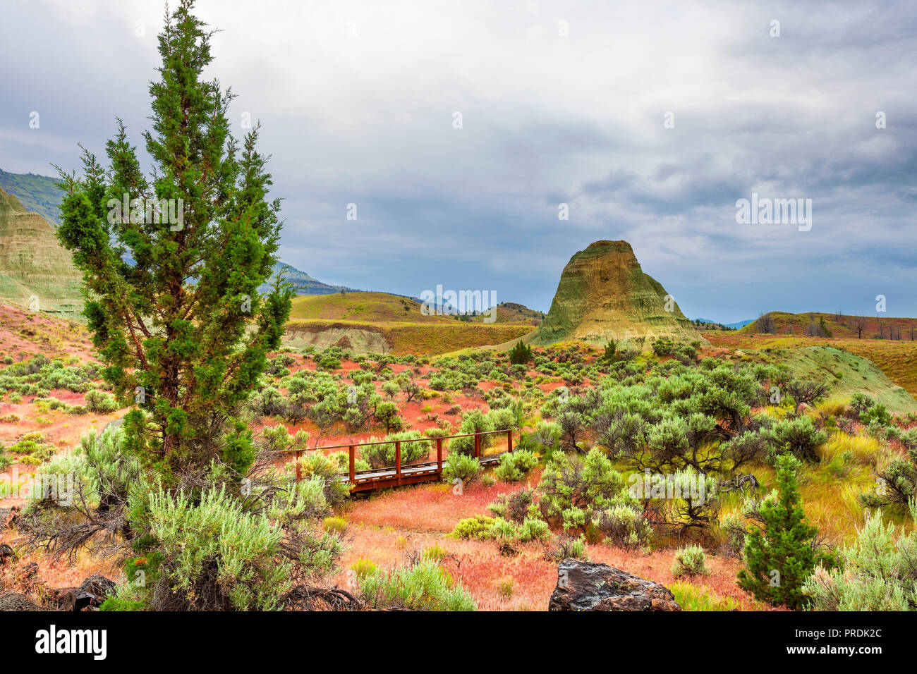 High desert landscape full of geological features in the John Day Fossil Beds National Park Stock Photo
