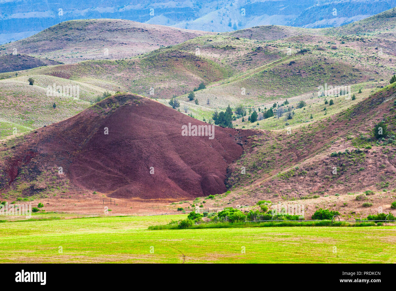 High desert landscape full of geological features in the John Day Fossil Beds National Park