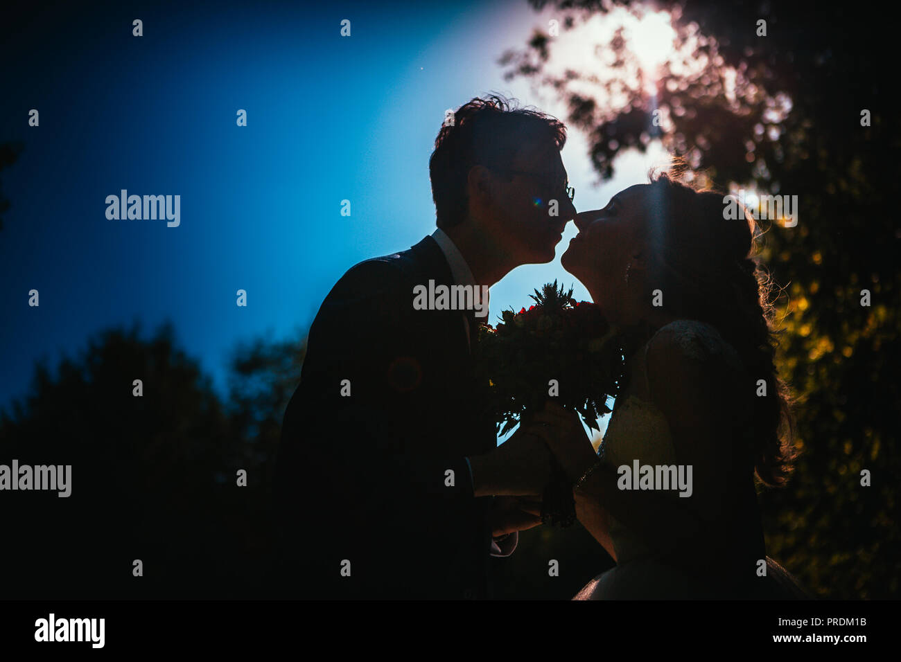 bride and groom silhouettes on the background of the sky park Stock ...