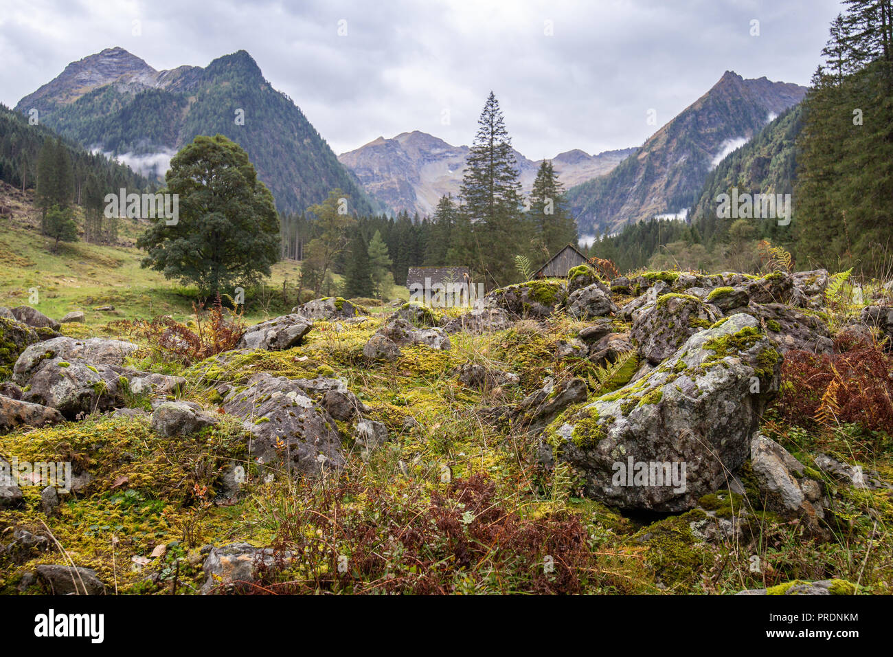 Almlandschaft im Herbst, Sölktal, Steiermark, Österreich Stock Photo