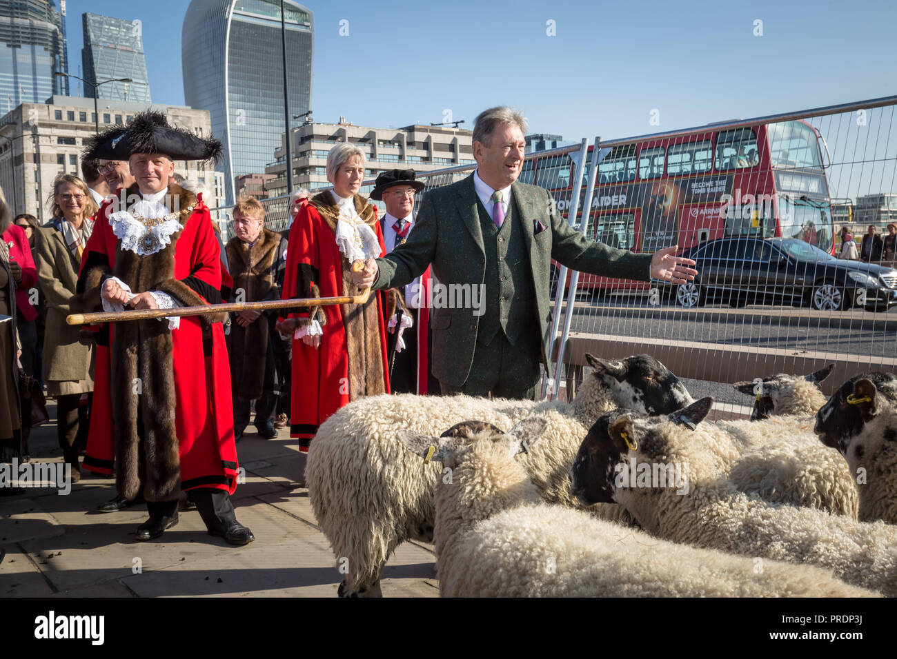 London, UK. 30th September, 2018. Annual Sheep Drive across London Bridge. Credit: Guy Corbishley/17�Թ����� Live News Stock Photo