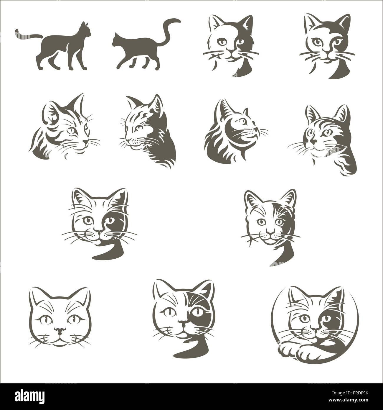 Cats on white background Stock Photo
