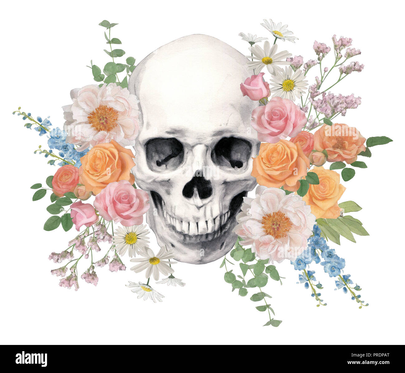 Human skull surrounded with fresh flowers Stock Photo