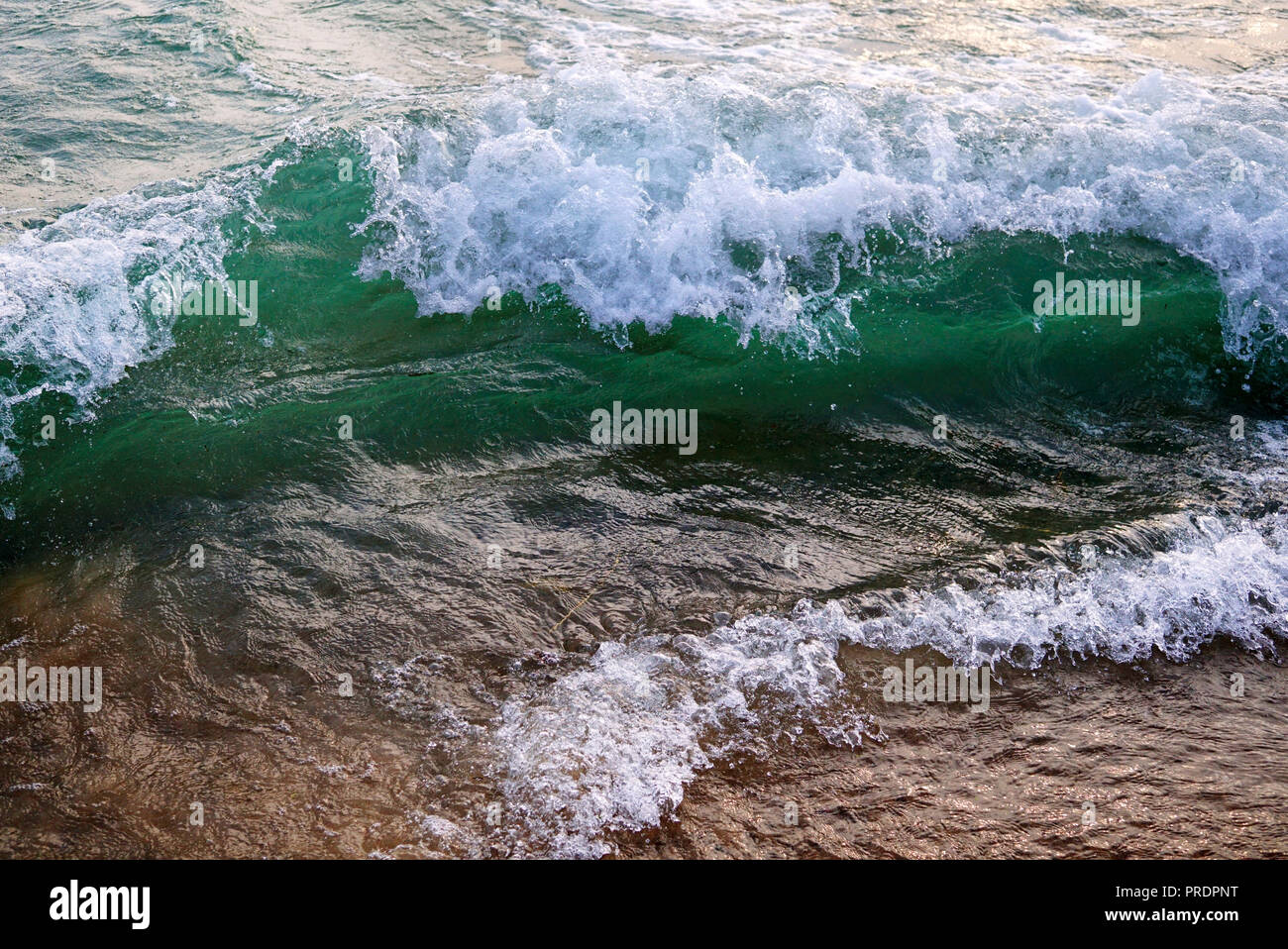 A Bright Green Wave of Lake Michigan. Clear water. White foam on the
