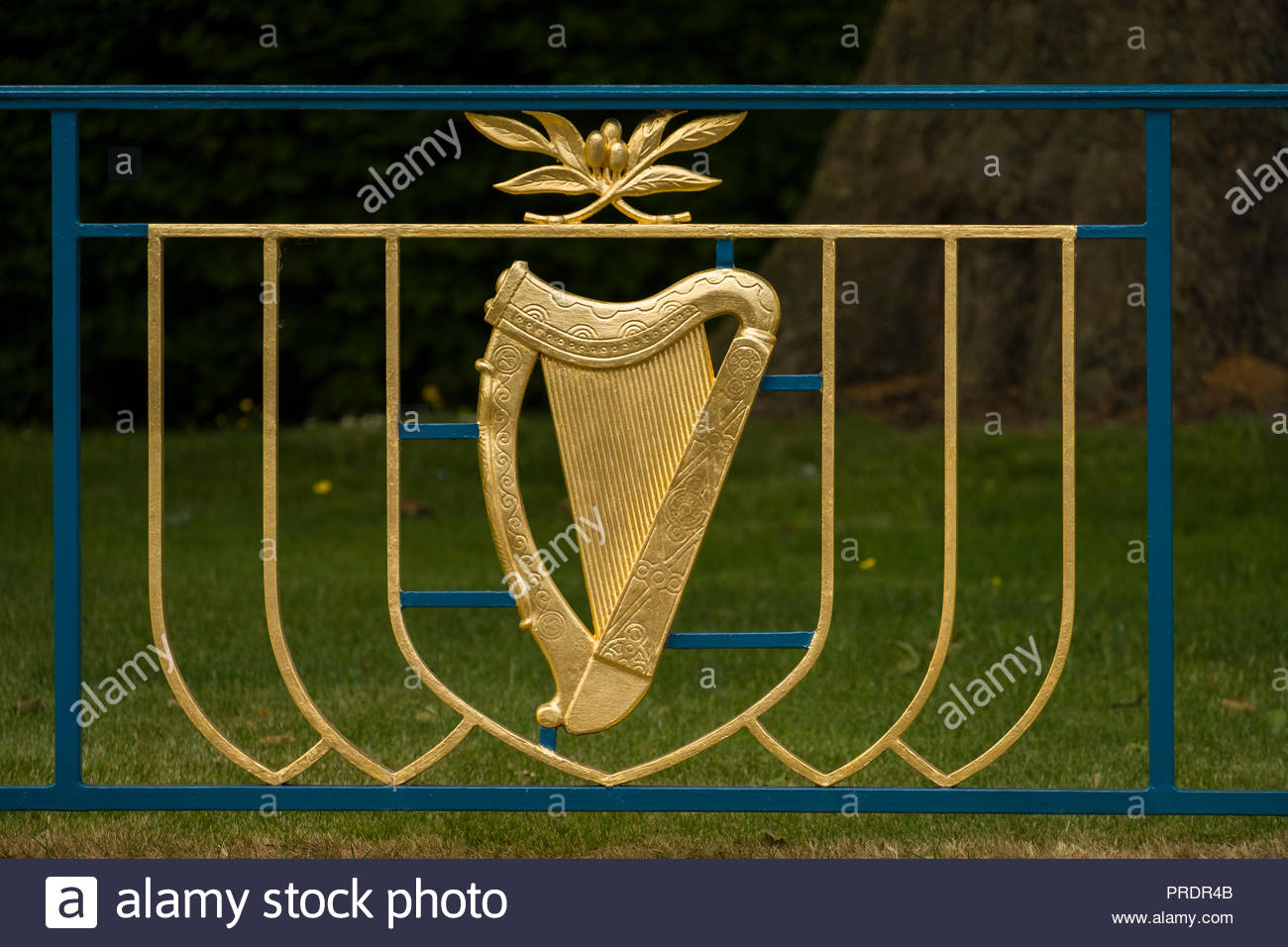 Ireland Harp Coat Of Arms High Resolution Stock Photography and Images