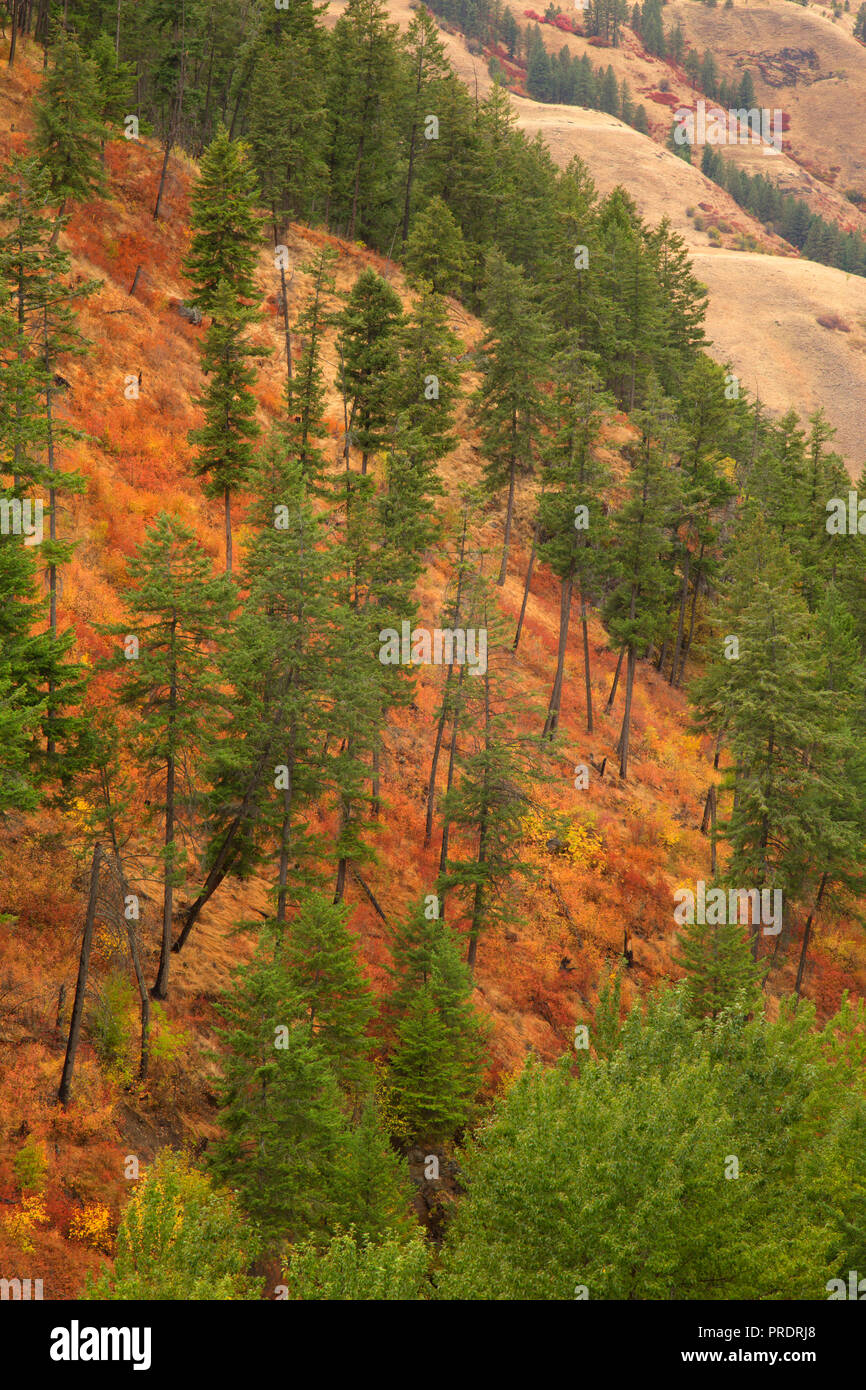 Canyon view from Rattlesnake Grade, Wallowa County, Oregon Stock Photo