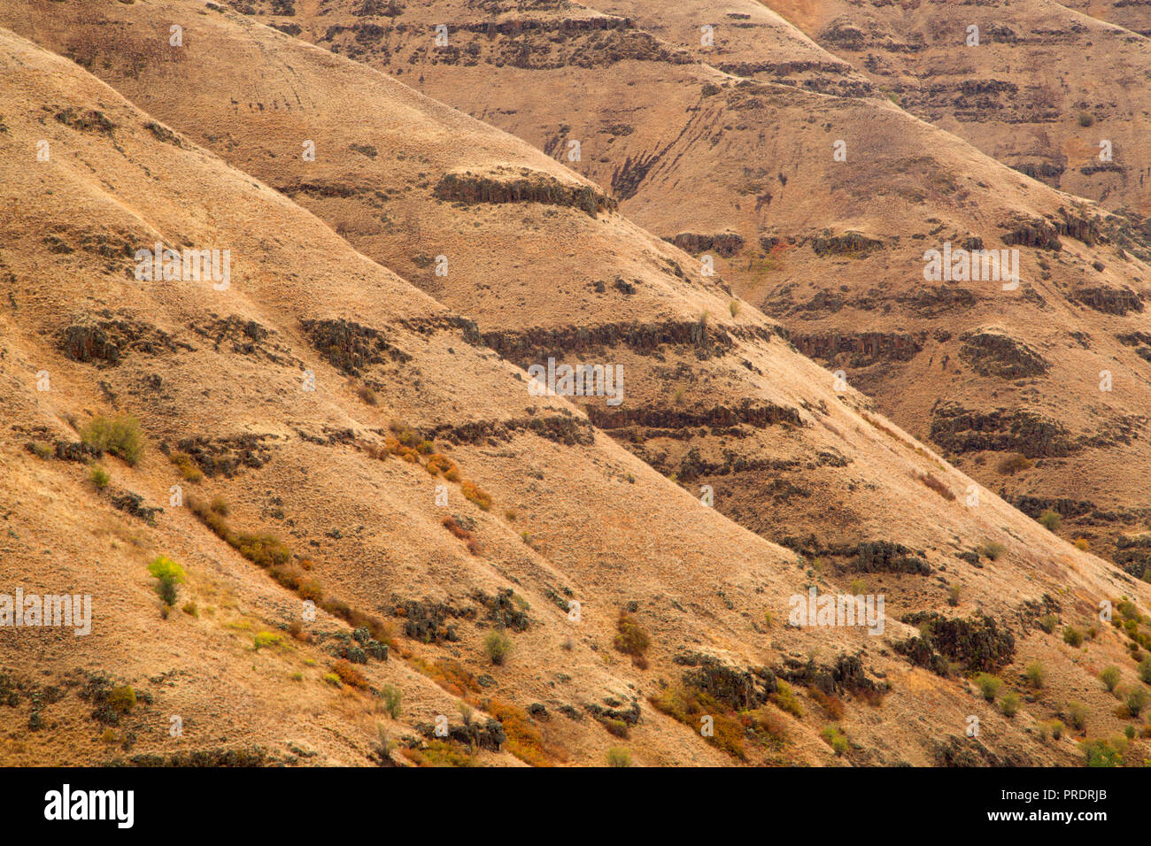 Canyon view from Rattlesnake Grade, Wallowa County, Oregon Stock Photo