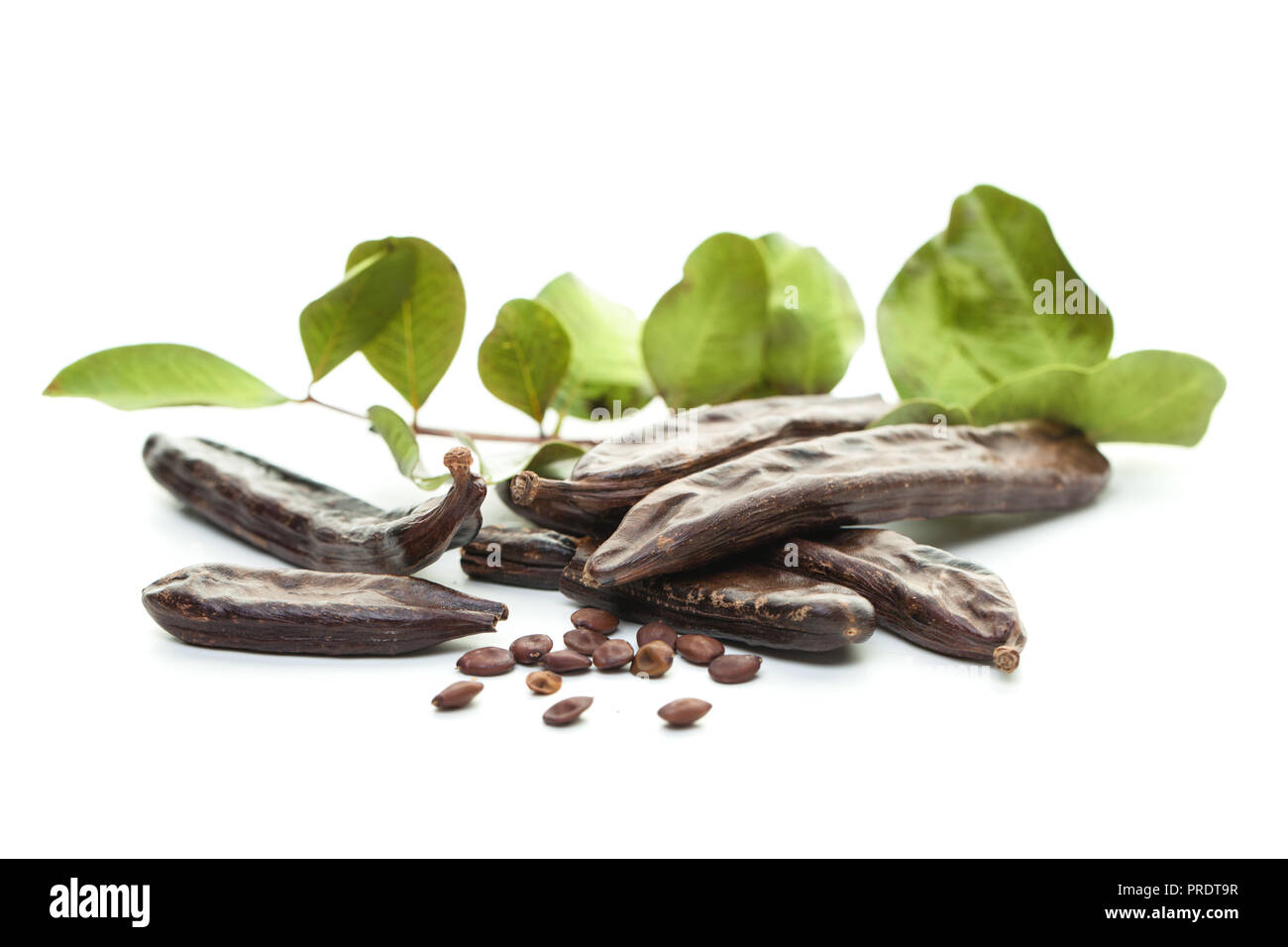 Carob, white background. Organic carob pods with seeds and green leaves