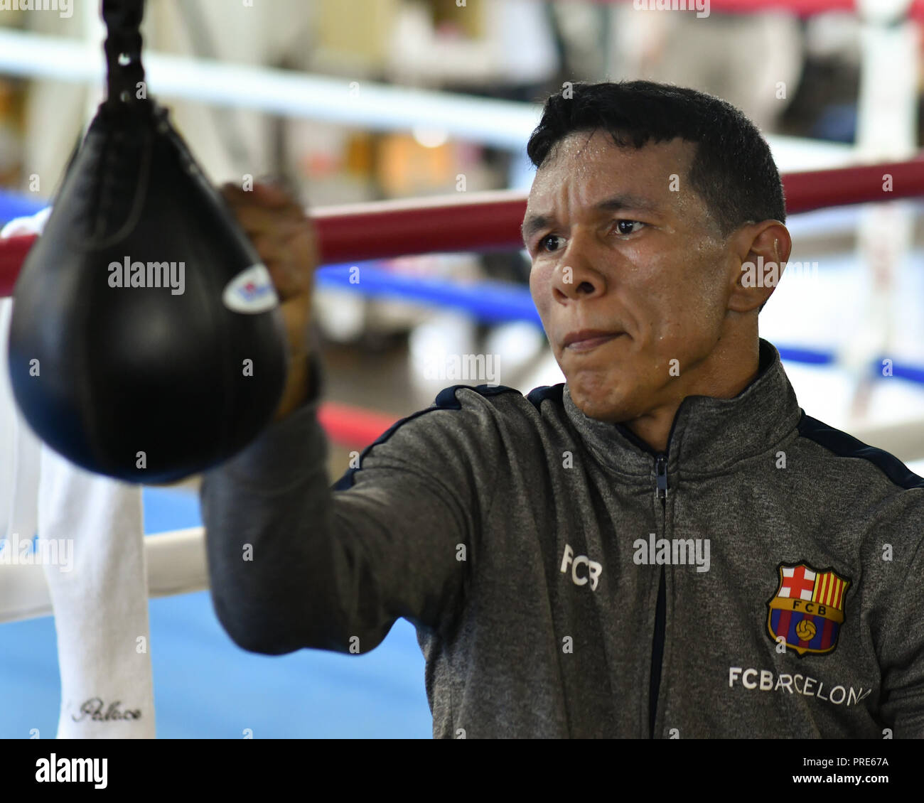 Tokyo, Japan. 2nd Oct, 2018. Juan Carlos Payano Boxing : Juan Carlos Payano of the Dominican Republic hits a speed bag during a media workout at Teiken Boxing Gym in Tokyo, Japan . Credit: Hiroaki Yamaguchi/AFLO/Alamy Live News Stock Photo