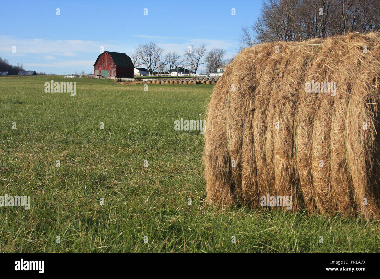 Hay Bales On Field With View Of Barn In Foreground Stock Photo Alamy