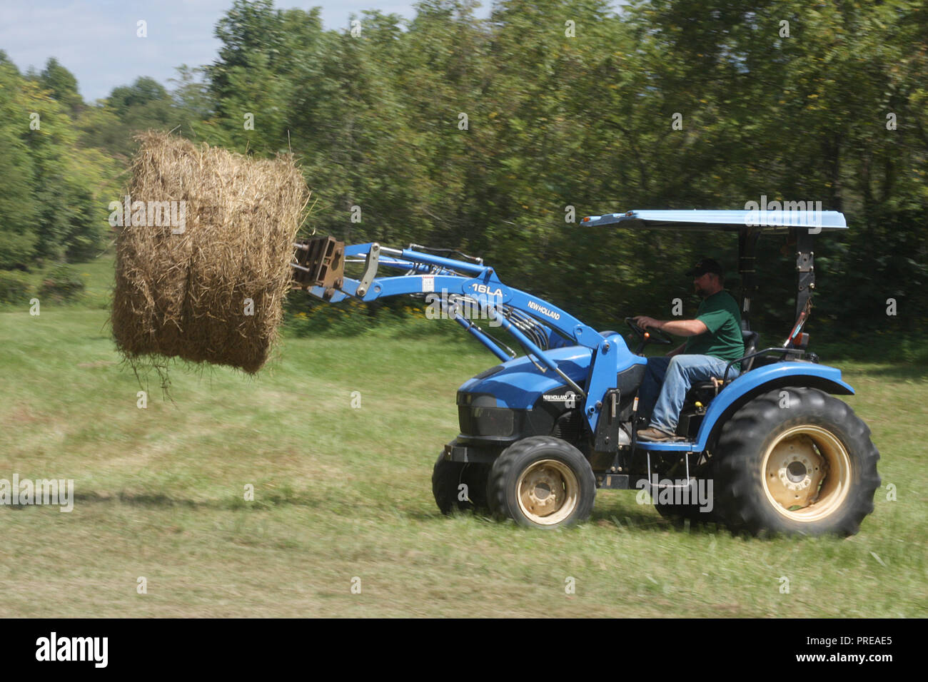 Small tractor loading hay bales Stock Photo Alamy
