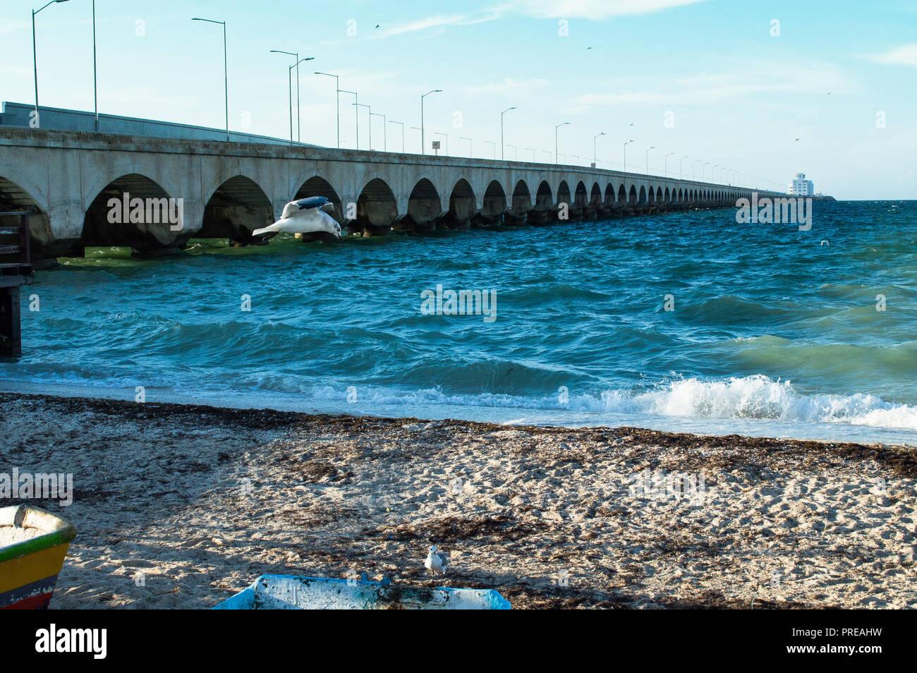 Average Temperature Progreso Mexico at Christina Forsman blog