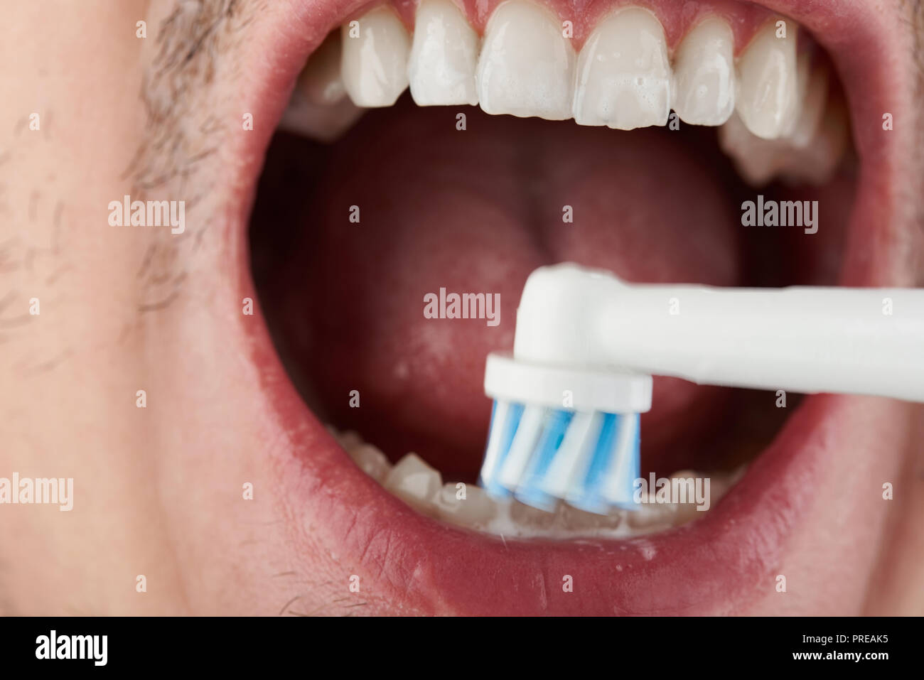 Macro of cleaning teeth with electrical brush Stock Photo Alamy