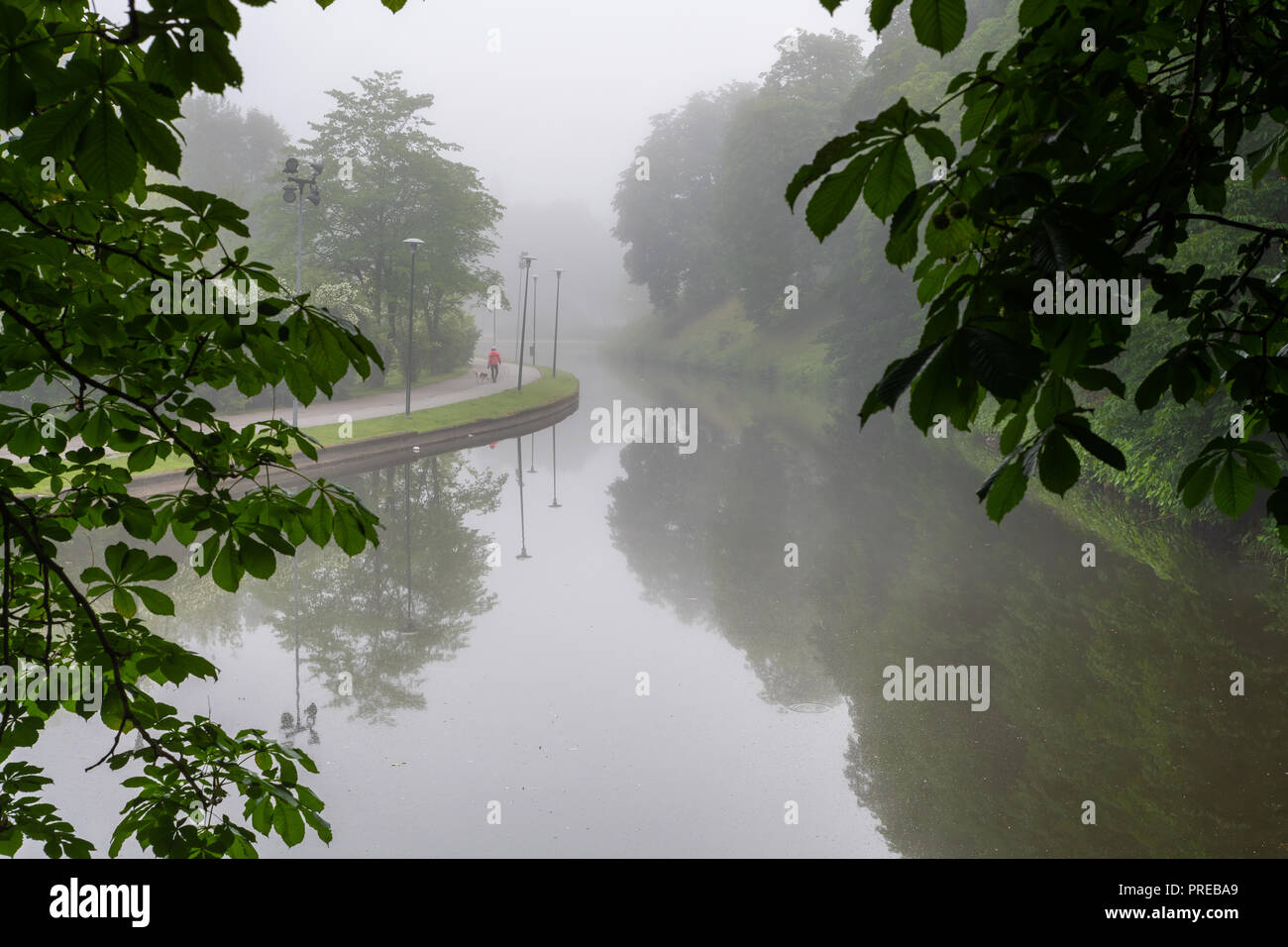 Walking path next to Snelli pond with the morning mist in Toompark, Tallinn, Estonia Stock Photo