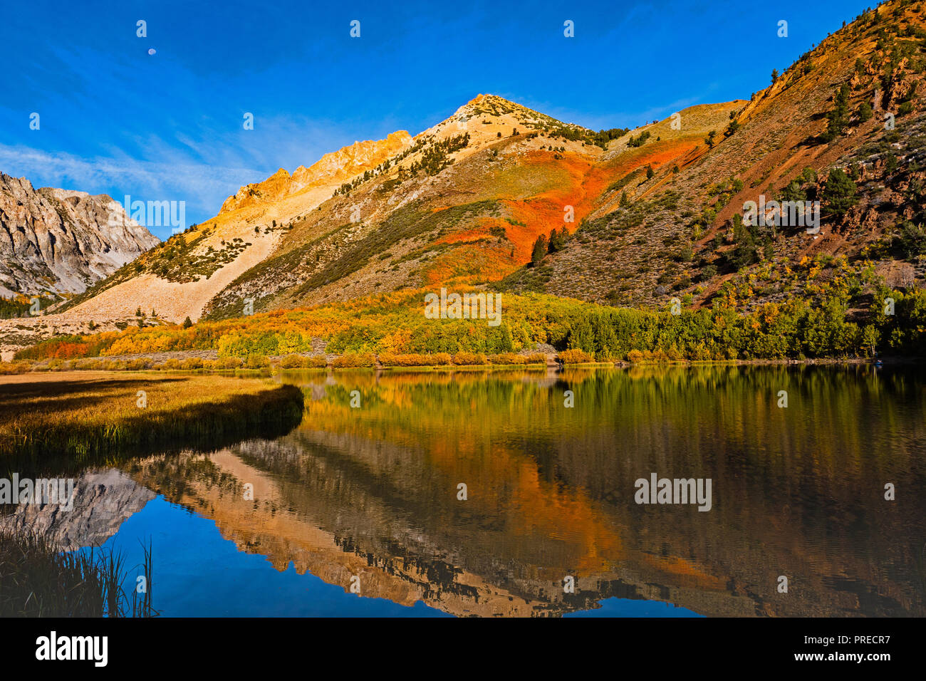 Fall Color North Lake, Creek Canyon, California Stock Photo Alamy