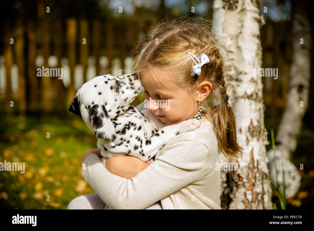 hugs and kisses doggie daycare