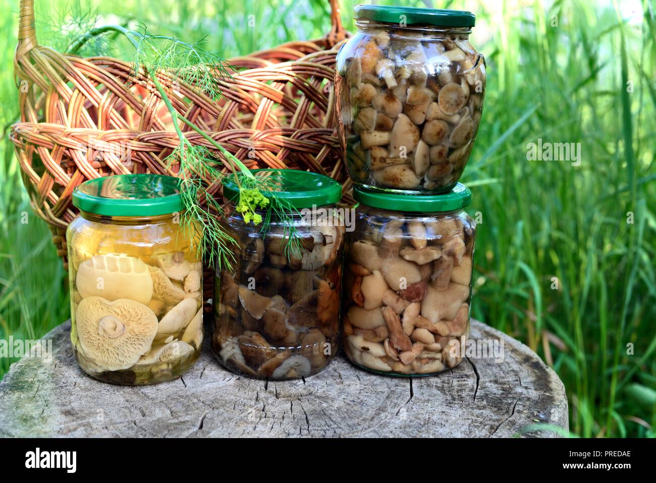 Jar of variety forest mushrooms Stock Photo Alamy