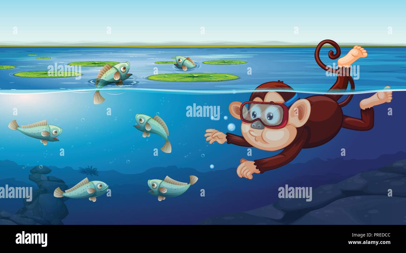 Monkey swimming underwater scene illustration Stock Vector