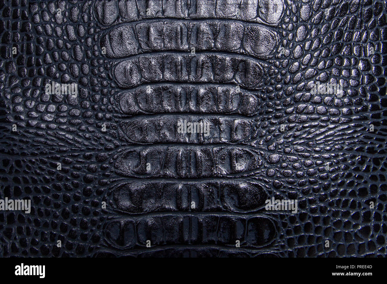 Background texture blue reptile skin Stock Photo