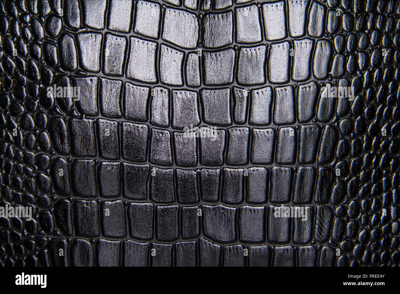 Black Python Skin