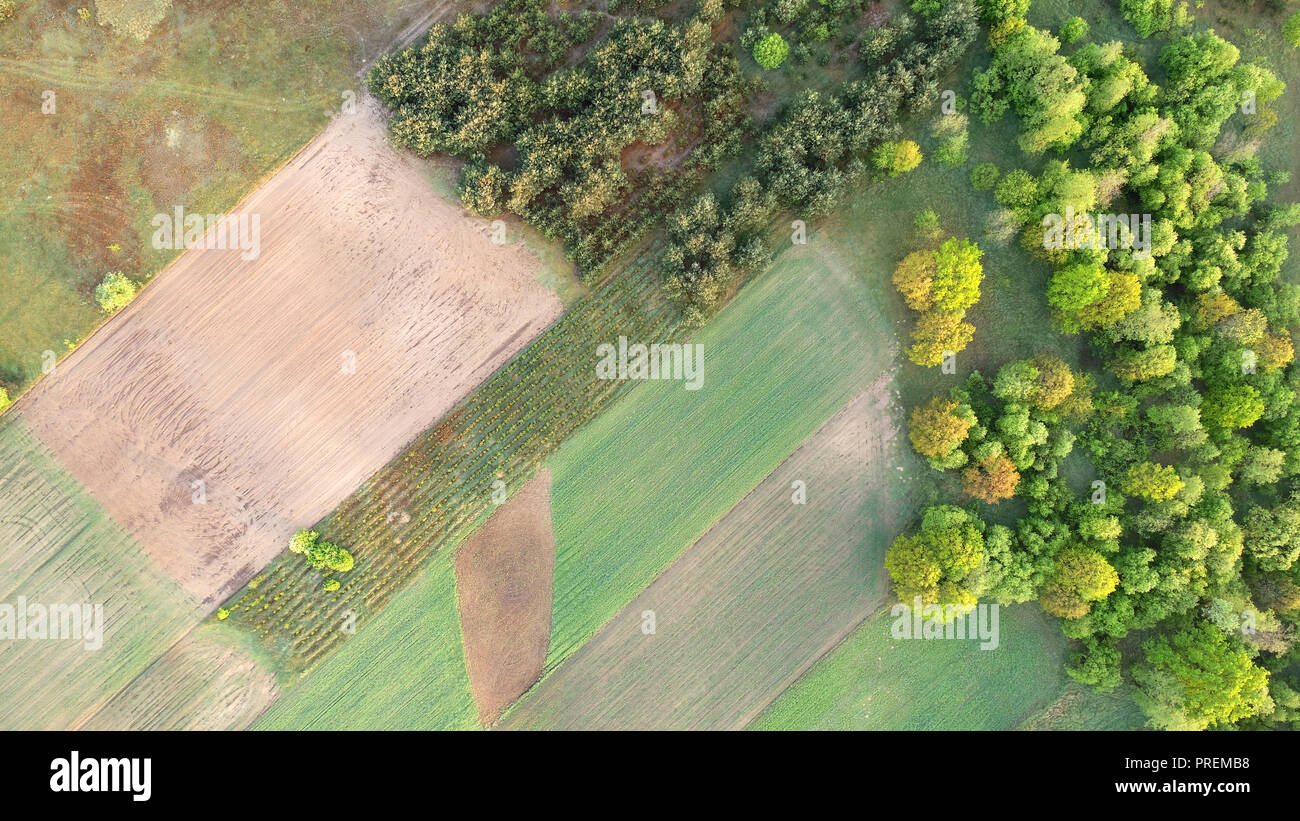 Spring fields from the drone Stock Photo - Alamy