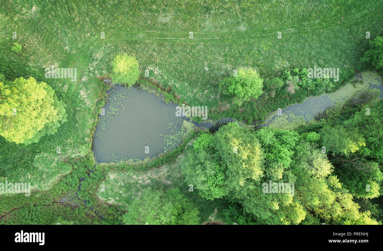 Aerial view from drone- small pond between spring meadow Stock Photo
