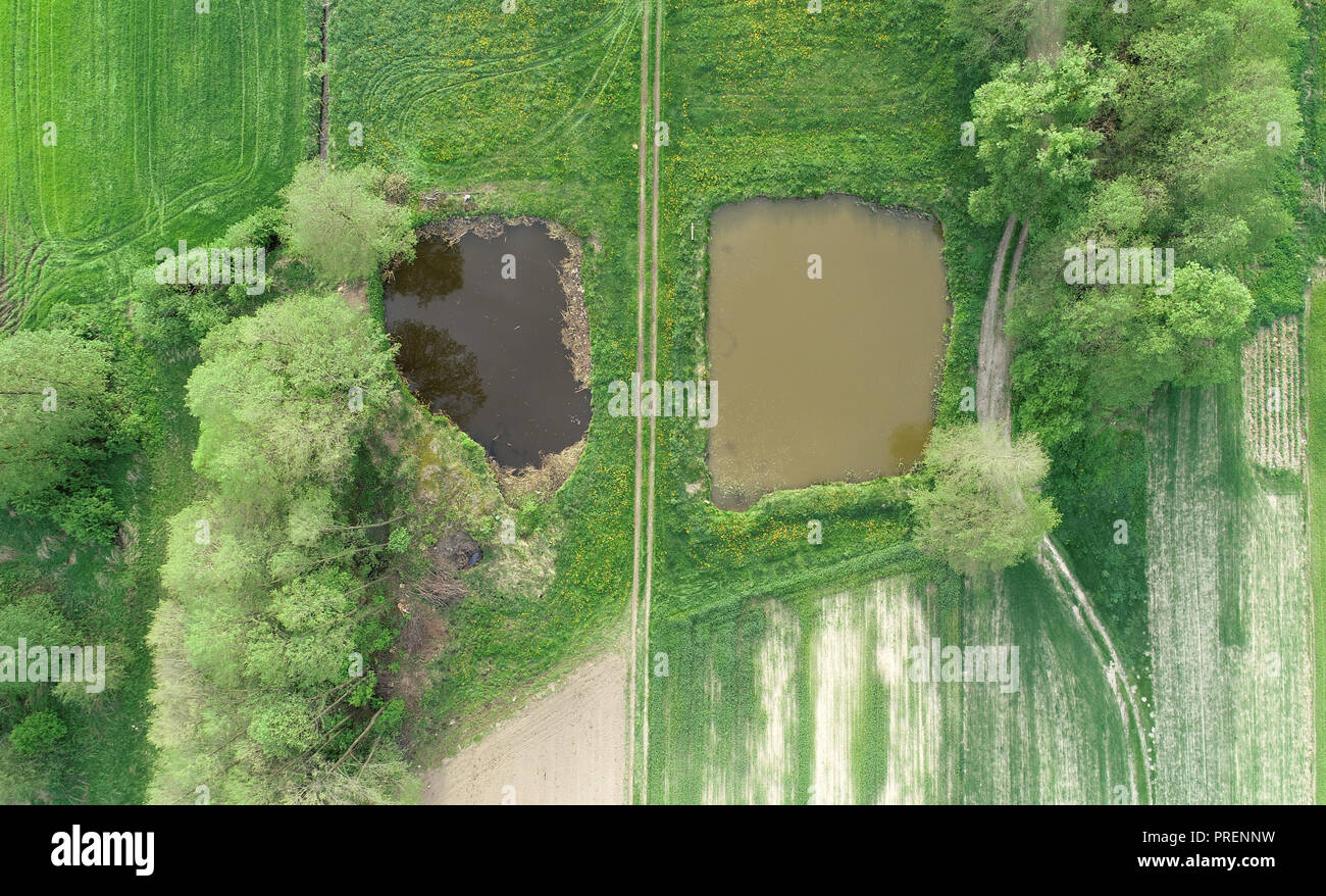 Aerial view from drone- small ponds between spring meadow Stock Photo