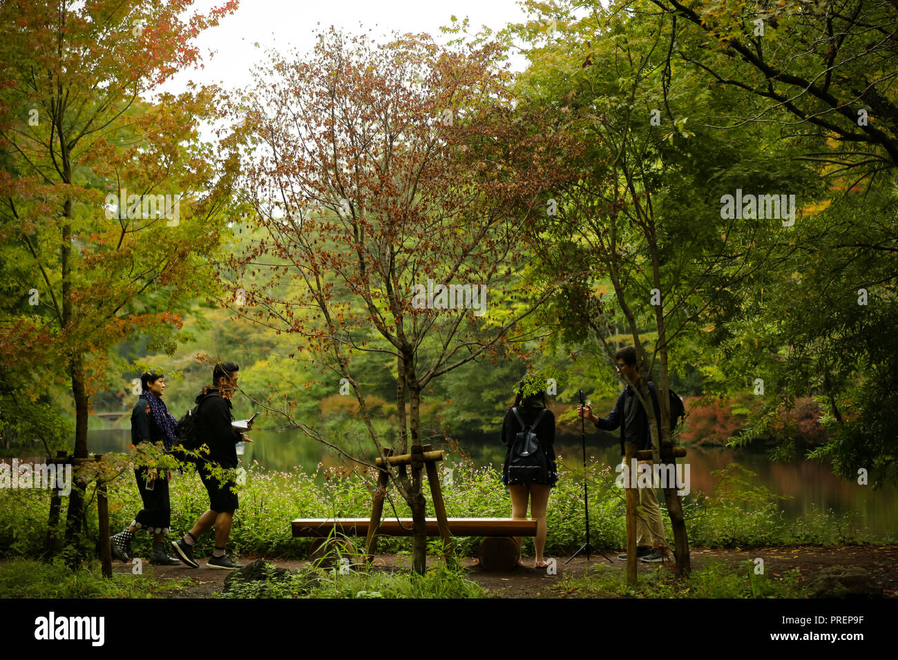 Autumn natural scenery for Kumobaike, With Pedestrians Stock Photo