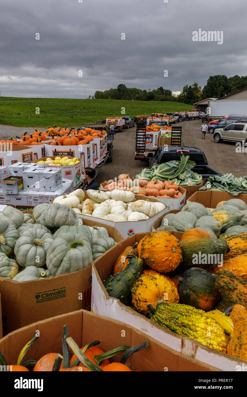 Amish country market hires stock photography and images Alamy