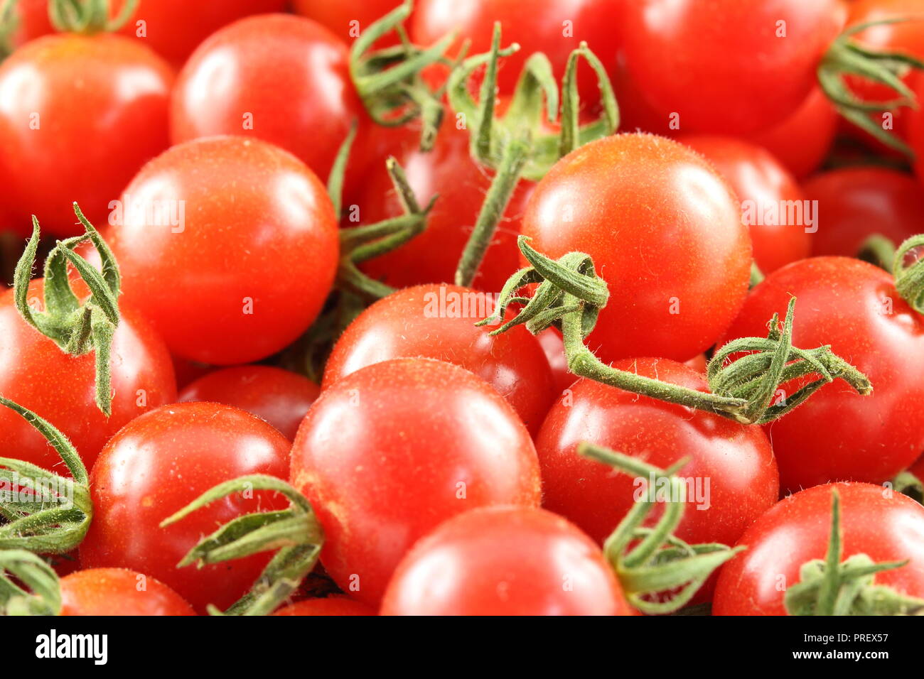 fresh wild currant tomatoes in closeup view Stock Photo