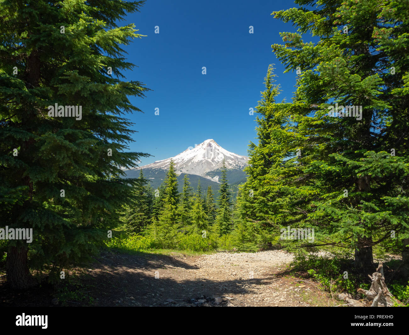Frog lake oregon snow hires stock photography and images Alamy